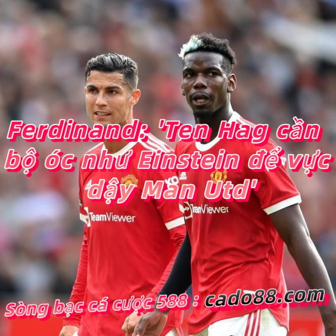 Ferdinand: ‘Ten Hag cần bộ óc như Einstein để vực dậy Man Utd’